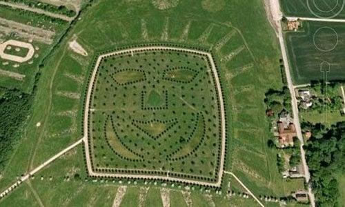 La cara del Sol, el bosque fue plantado en Odense, Dinamarca, en 2005 | ESPECIAL