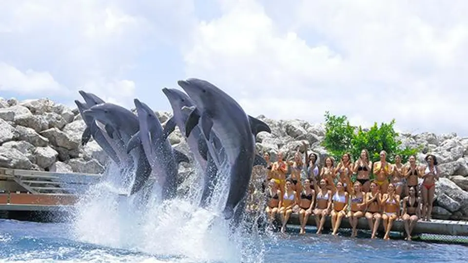 Porristas de Pieles Rojas conviven con delfines