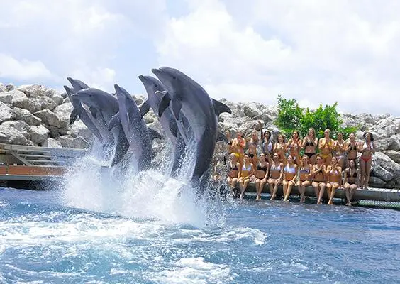 Porristas de Pieles Rojas conviven con delfines