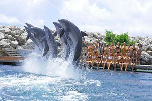 Porristas de Pieles Rojas conviven con delfines