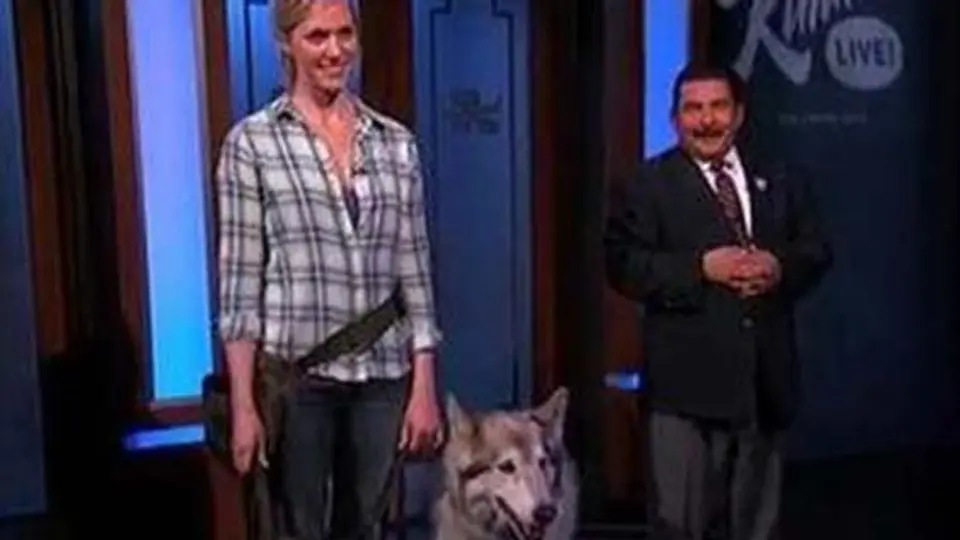 Lobo en Sochi, broma de Kate Hansen