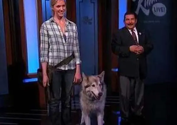 Lobo en Sochi, broma de Kate Hansen