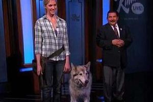 Lobo en Sochi, broma de Kate Hansen