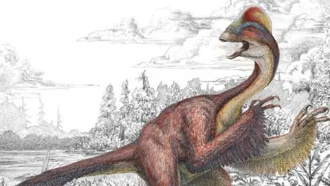 Paleontólogos hallan nuevo 'dinosaurio gallina'