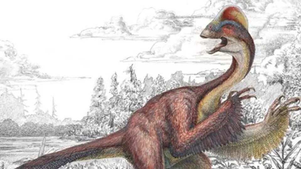 Paleontólogos hallan nuevo 'dinosaurio gallina'