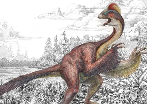 Paleontólogos hallan nuevo 'dinosaurio gallina'