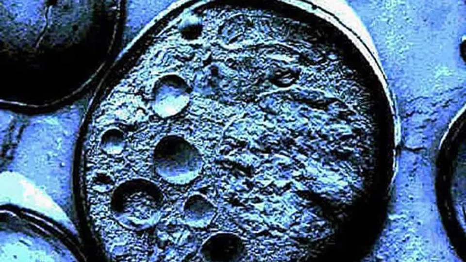 Científicos logran la primera clonación de células humanas