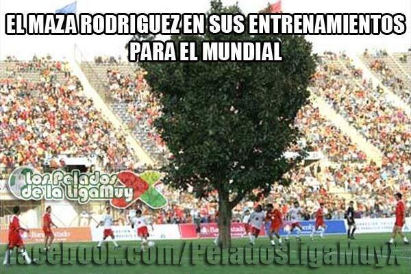 FOTO: ESPECIAL
