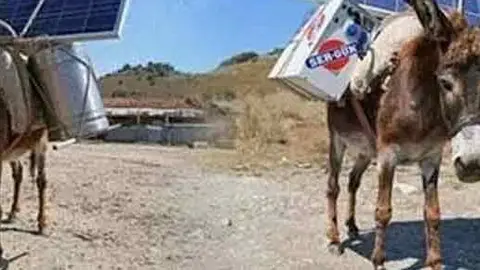 Burros cargan antenas Wi-Fi para campesinos