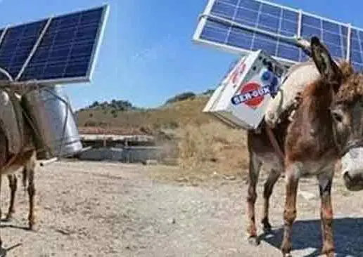 Burros cargan antenas Wi-Fi para campesinos