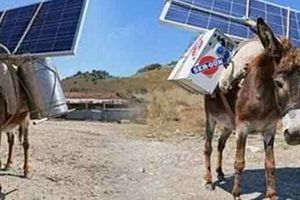 Burros cargan antenas Wi-Fi para campesinos