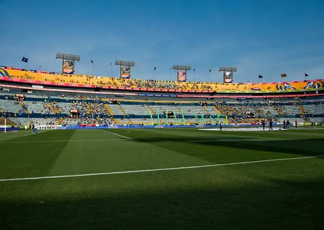 Piden matrimonio en el Estadio Universitario
