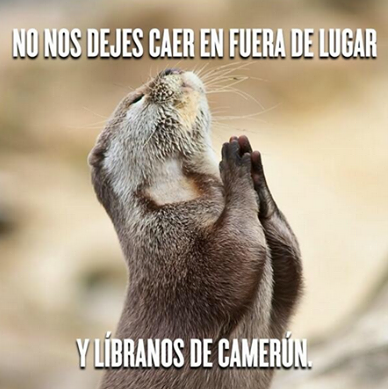 FOTO: ESPECIAL