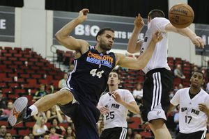 Bobcats de Charlotte regresarán a ser los Hornets