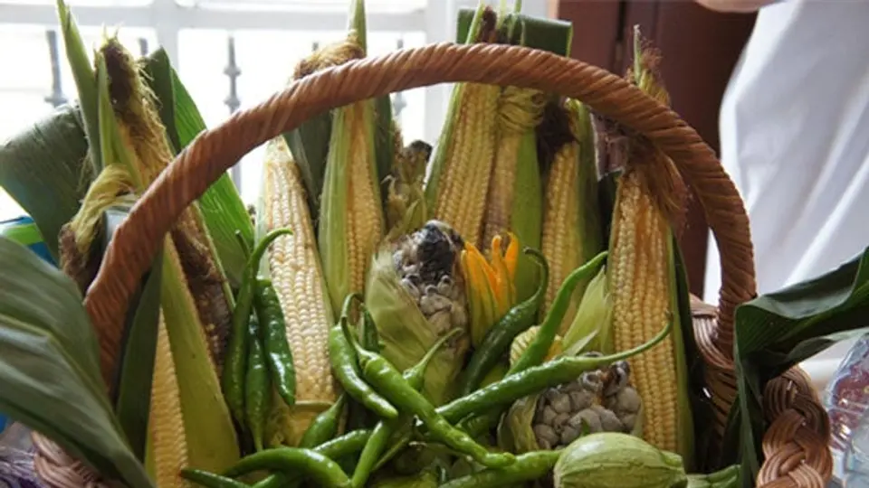 Delegación Tláhuac albergará la XX Feria del Maíz y el Elote
