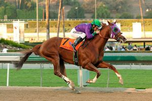 Víctor Espinoza, jinete con orgullo latino
