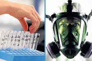 Amenaza biológica; crean virus mortal