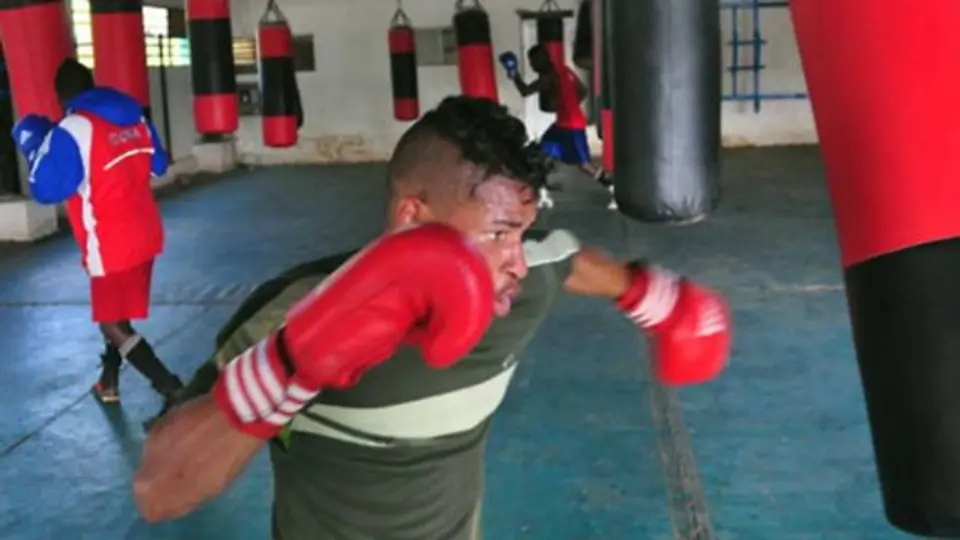 Cuba tendrá primera incursión en boxeo profesional en 50 años