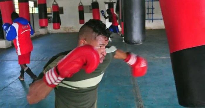 Cuba tendrá primera incursión en boxeo profesional en 50 años
