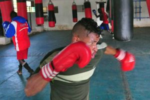 Cuba tendrá primera incursión en boxeo profesional en 50 años