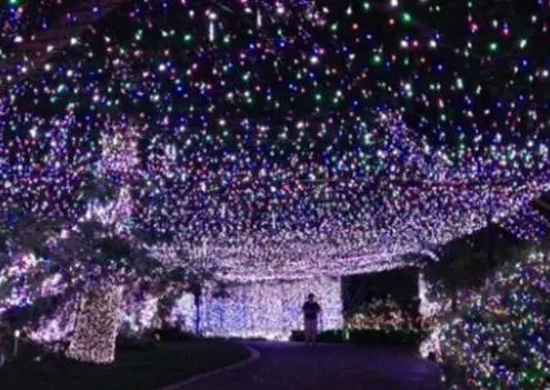 Establecen récord mundial con medio millón de luces