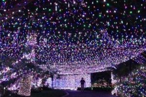 Establecen récord mundial con medio millón de luces