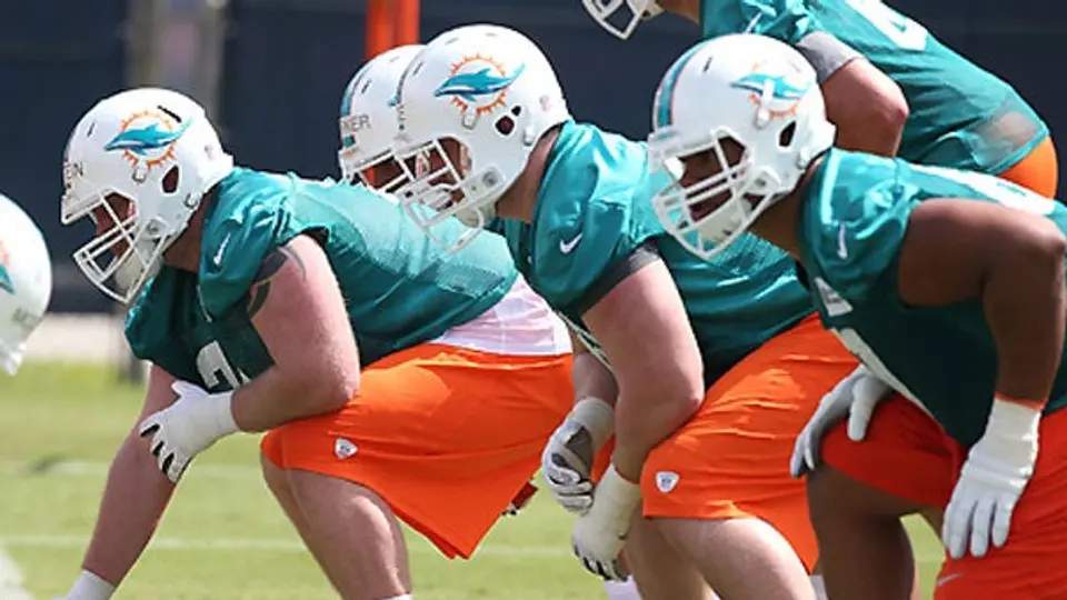 Delfines podrían dejar Miami por falta de inversión