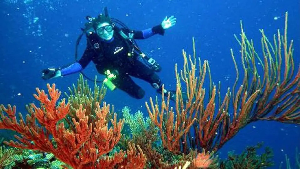 Francesa muere al practicar buceo en España