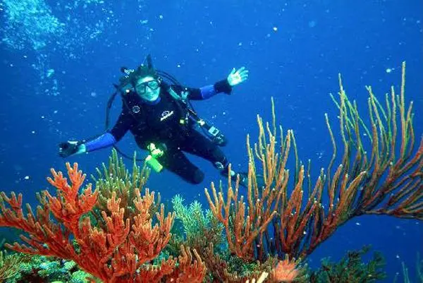 Francesa muere al practicar buceo en España