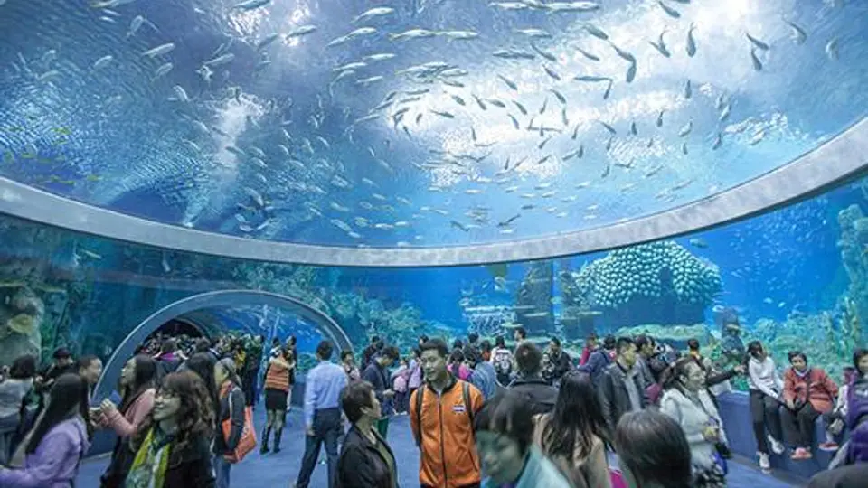 Acuario en China tiene 22.7 millones de litros de agua