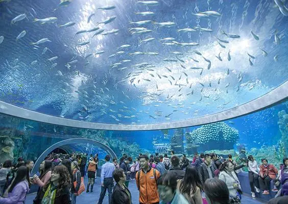 Acuario en China tiene 22.7 millones de litros de agua