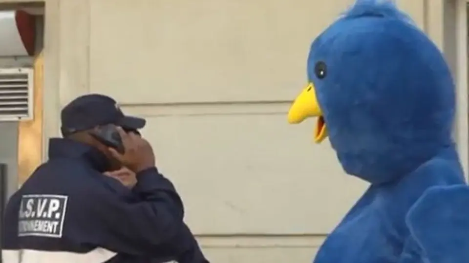 Pájaro gigante de Twitter que te sigue en la vida real