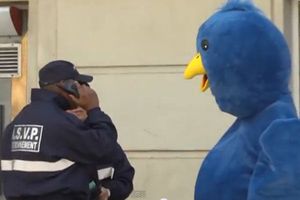 Pájaro gigante de Twitter que te sigue en la vida real