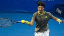 Ferrer avanza en el Abierto de Acapulco