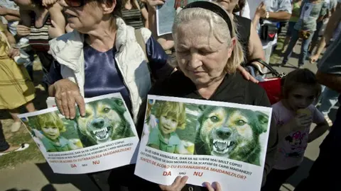 El referéndum se pondrá 'perro'