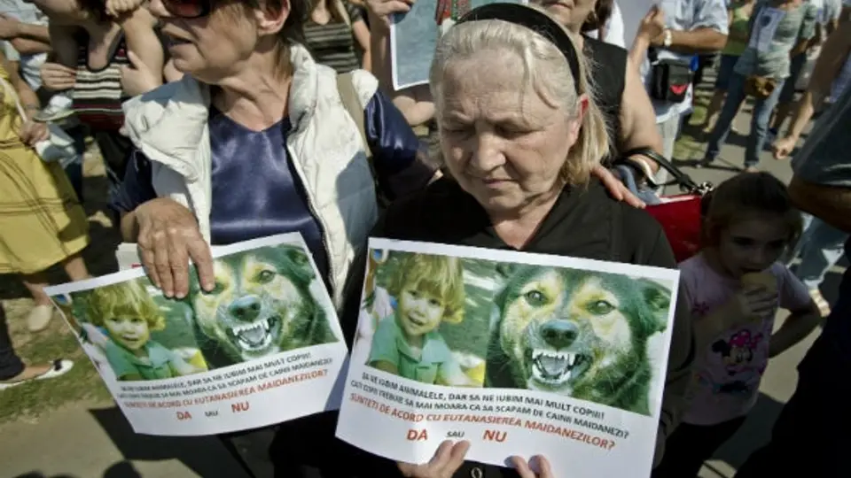 El referéndum se pondrá 'perro'