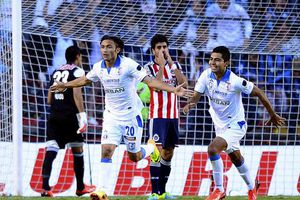 'Flappy Bird' contagia a jugadores de Gallos