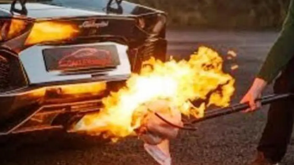 Pavo a la Lamborghini