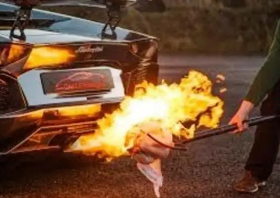 Pavo a la Lamborghini