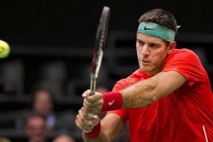 Del Potro debuta con victoria en Rotterdam
