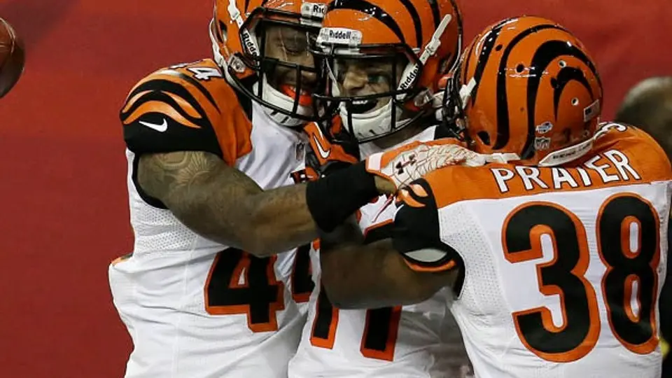 Cincinnati impide volar a los Halcones