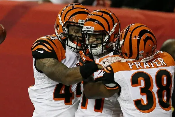 Cincinnati impide volar a los Halcones