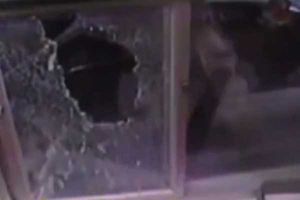 Por no venderle nuggets, le lanza ataque 'Súper Saiyayin'