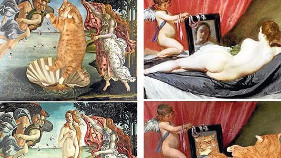 Rusa hace arte con sentido felino