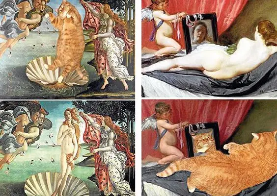 Rusa hace arte con sentido felino