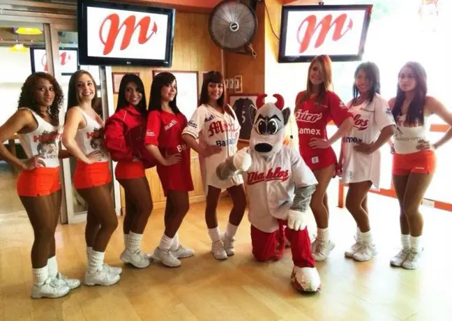 Diablos Rojos presenta renovada campaña 2014