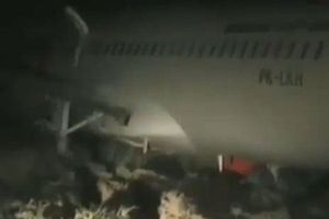 Tras atropellar a una vaca, avión se despista