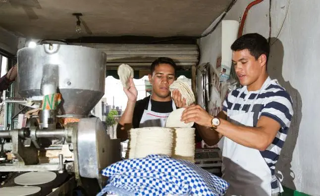 Julio y Luis Ceja, los hermanos que viven de las tortillas y el box
