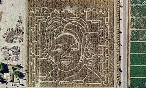 Este laberinto se ha creado para celebrar el éxito de Oprah Winfrey | ESPECIAL