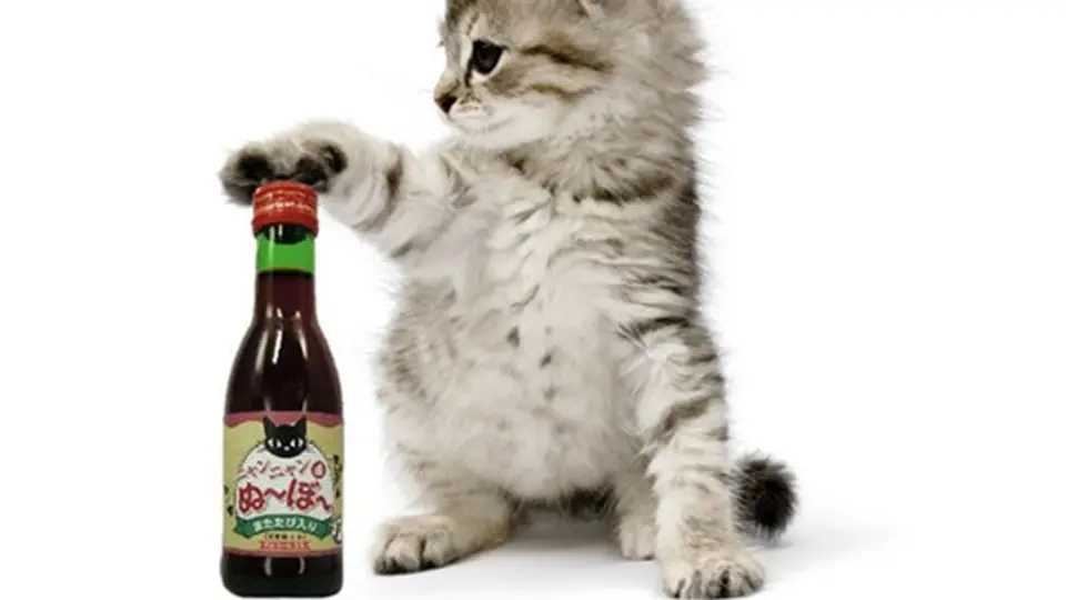 Sale al mercado vino exclusivo para gatos